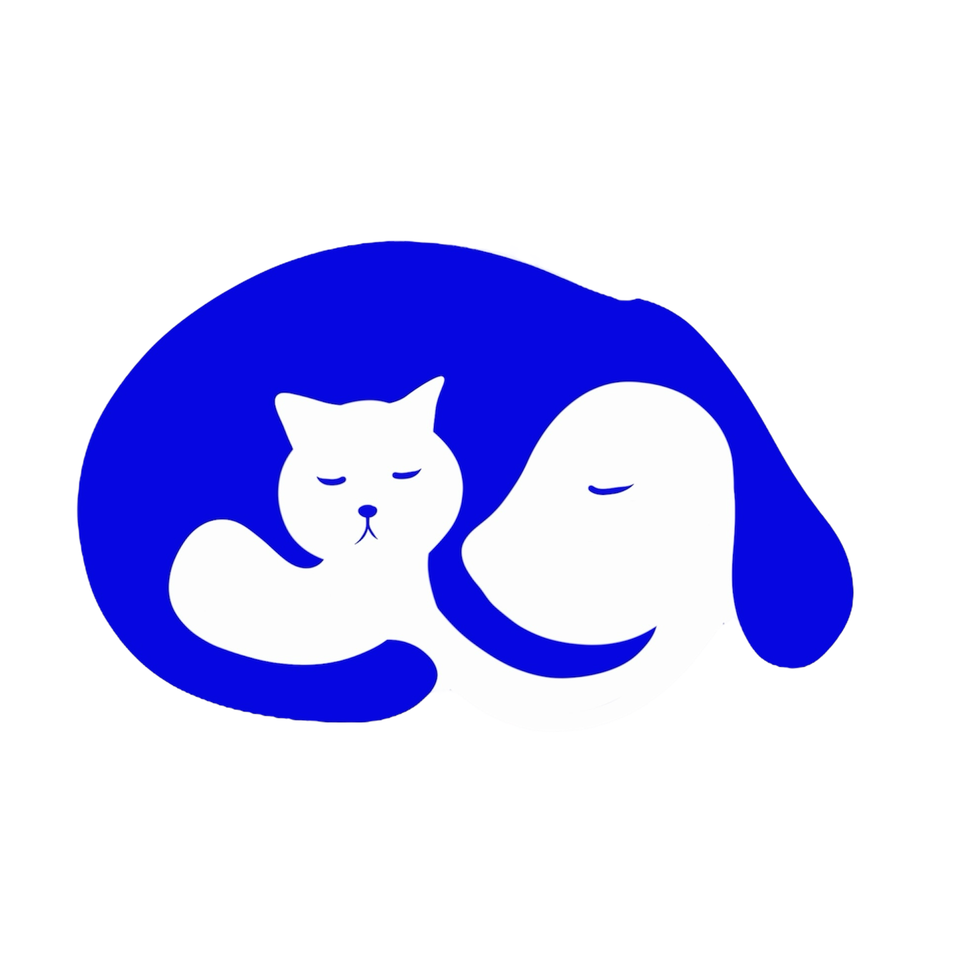 Perro y gato Perro y gato